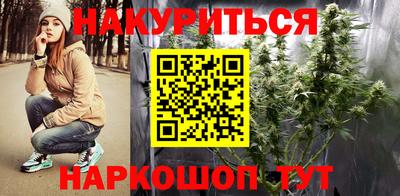 шишки Будённовск