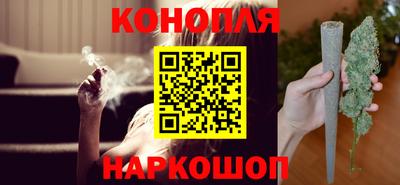 шишки Будённовск
