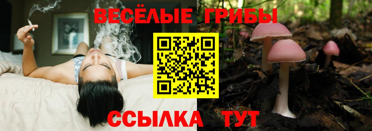 Кувандык  Галлюциногенные грибы Cubensis  Вход с VPN 